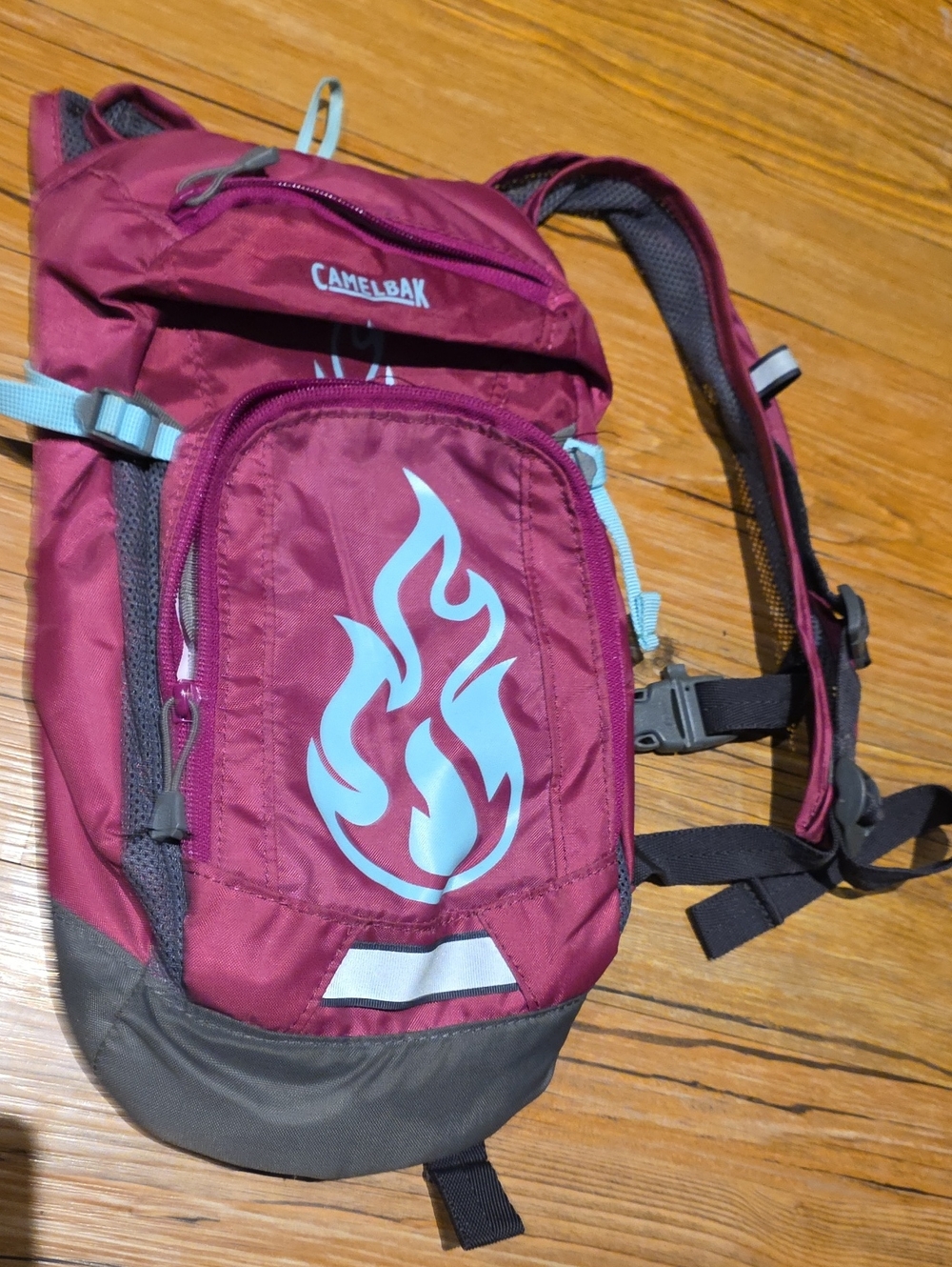 CamelBak Maroon Hydration Backpack - Women's
